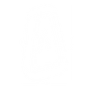 Cardo Freecom 2X Bluetooth Intercom System Sound By JBL