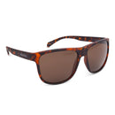 Oxford Sahara Sunglasses -Tortoiseshell Frame Brown Lens